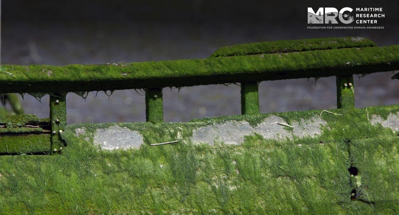 Biofouling in the Indo-Pacific: A Menace to Shipping