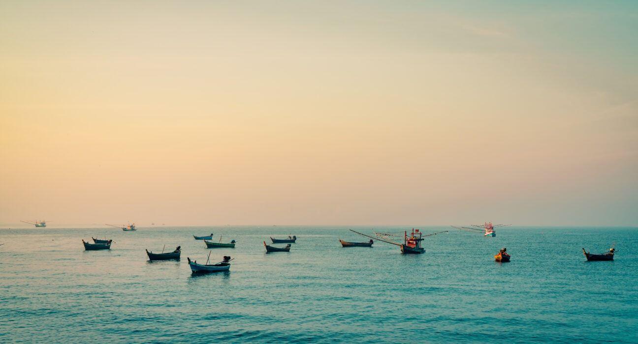 Digital Transformation for Ocean Governance: The Role of UDA in Monitoring and Regulation
