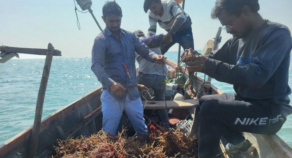 Marginalisation and Revival of Indigenous Technical Knowledge in Indian Maritime Policy