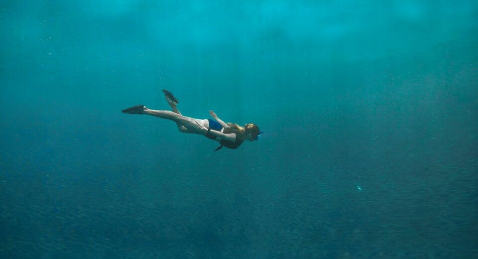 Diver