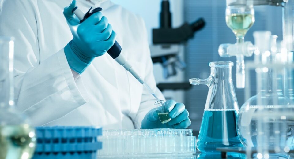 lab