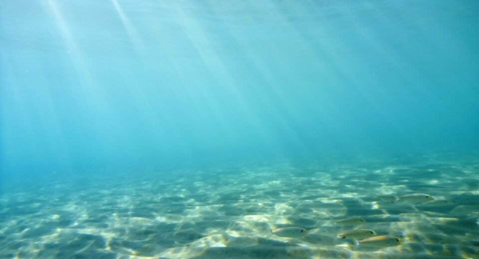 sea