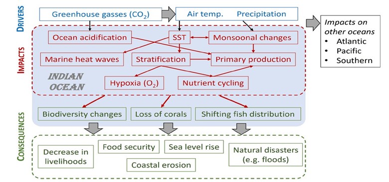 Uda_digest_1_fig1