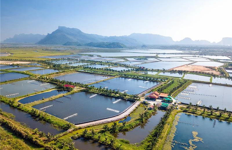 What Is Aquaculture, And Why Do We Need It_