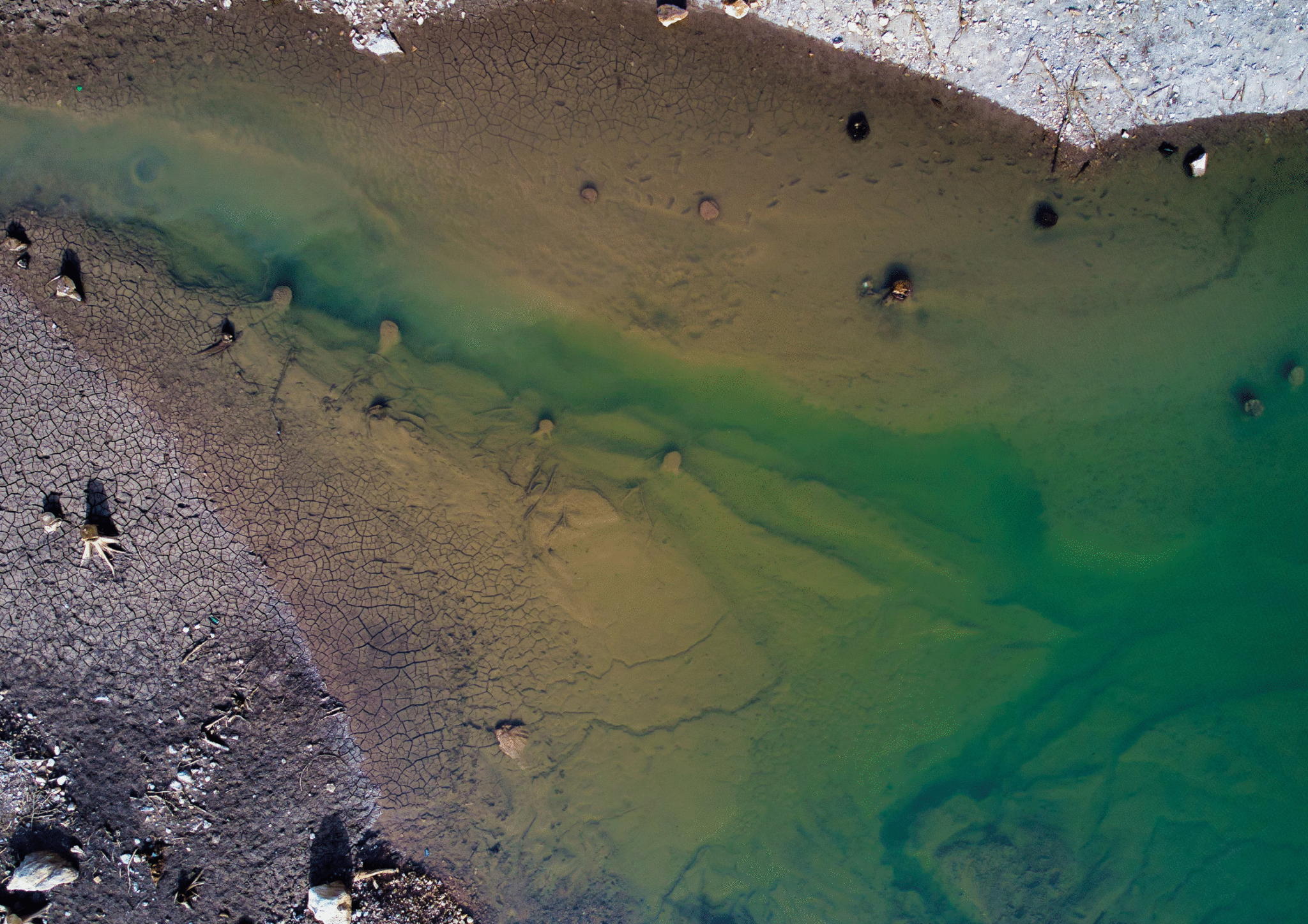 From Crisis to Solution: Tackling Water Quality Issues in India - UDA ...