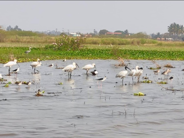 Whatsapp Image 2026 03 17 At 10.41.43 Am