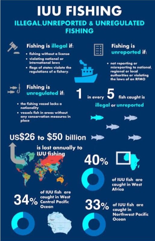 Whatsapp Image 2026 04 22 At 11.30.20 Am